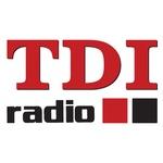 TDI Radio - Domaćica | Station Logo