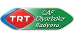 TRT Radyo - GAP Diyarbakır Radyosu | Station Logo