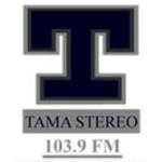 Tamá Stereo | Station Logo