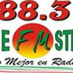 Tame Fm Stereo 88.3 | Station Logo