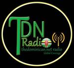 TDN Radio Caribbean | Station Logo