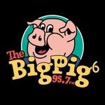 The Big Pig - WPGI | Station Logo