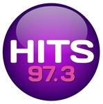 HITS 97.3 - WFLC | Station Logo