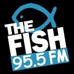 The Fish - KAIM-FM | Station Logo