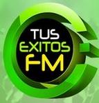 Tus Exitos Fm - Top 40 | Station Logo