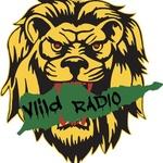 VIild Radio | Station Logo