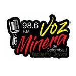 Voz Minera 98.6 FM | Station Logo