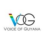 Voice of Guyana (VOG) 102.5 FM | Station Logo