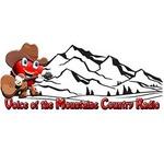 Voice of the Mountains Country Radio | Station Logo