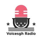 Voicesgh Radio | Station Logo