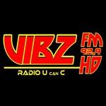 VibzFM HD | Station Logo