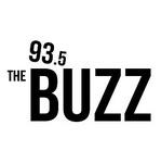 Channel 93.5, the Buzz - W228CF | Station Logo