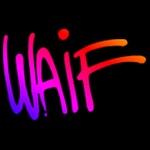 88.3 FM - WAIF