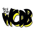 WCDB 90.9 FM - WCDB | Station Logo