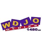 Oldies 1480 - WDJO | Station Logo