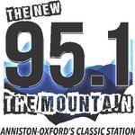 95.1 The Mountain - WDNG | Station Logo