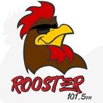 Rooster 101.5 - WFTZ | Station Logo