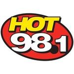 HOT 98.1 -  WJMZ-HD4 | Station Logo