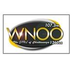 107.3 WNOO - WNOO | Station Logo