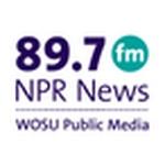 WOSU-FM - W208AT | Station Logo