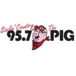 95.7 The Big Pig - WPIG | Station Logo