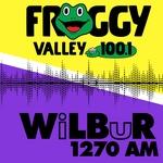 Froggy Valley 100.1 - WFVY | Station Logo