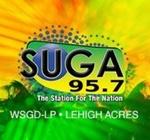 SUGA 95.7 FM Radio Station - WSGD-LP | Station Logo