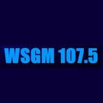 WSGM 107.5 | Station Logo