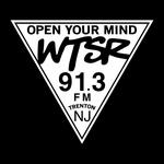 WTSR 91.3 - WTSR | Station Logo