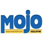 Mojo 102.9 - WXCH | Station Logo