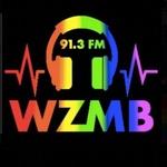 East Carolinas Alternative - WZMB | Station Logo