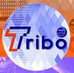 Web Rádio Tribo | Station Logo