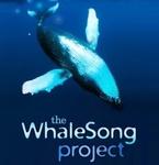 WhaleSong Project | Station Logo