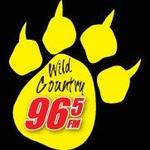 Wild Country 96.5 - WVNV | Station Logo