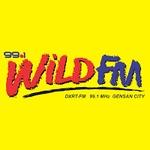 99.1 Wild FM - DXRT | Station Logo