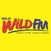 Wild FM Valencia - DXWB | Station Logo