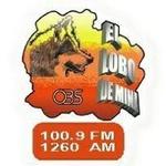 El Lobo de Mina - XEMTV | Station Logo