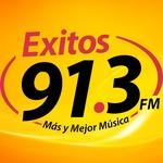 Exitos 91.3 - XHMLS | Station Logo