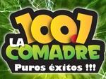 La Comadre 100.1 - XHNE | Station Logo