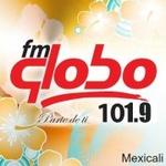 FM Globo 101.9 - XHPF | Station Logo