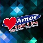 La Nueva Amor 100.1 - XHYU | Station Logo