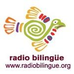 Radio Bilingue - XHZIT | Station Logo