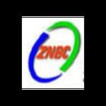 ZNBC R1 - ZNBC One | Station Logo