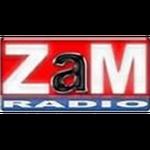 ZaM Radio - Izvornjaci | Station Logo