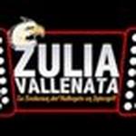 ZuliaVallenata | Station Logo