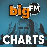 bigFM - Charts | Station Logo