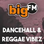 bigFM - Reggae Vibez | Station Logo