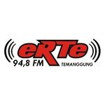 eRTe FM Radio Temanggung | Station Logo