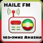 Haile FM | Station Logo