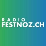 Radio Festnoz | Station Logo